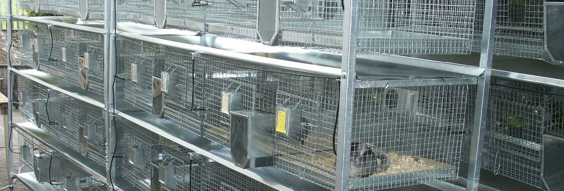 SZYLEX розведення шиншил суміші корми клітки шиншили в Польщі 03