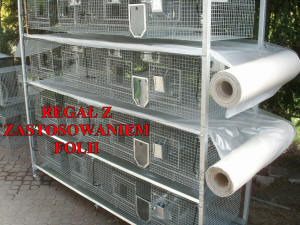 SZYLEX розведення шиншил суміші корми клітки шиншили в Польщі 09