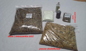 SZYLEX розведення шиншил суміші корми клітки шиншили в Польщі 11